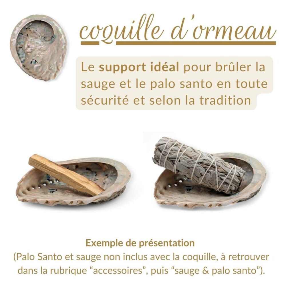 coquille d'ormeau