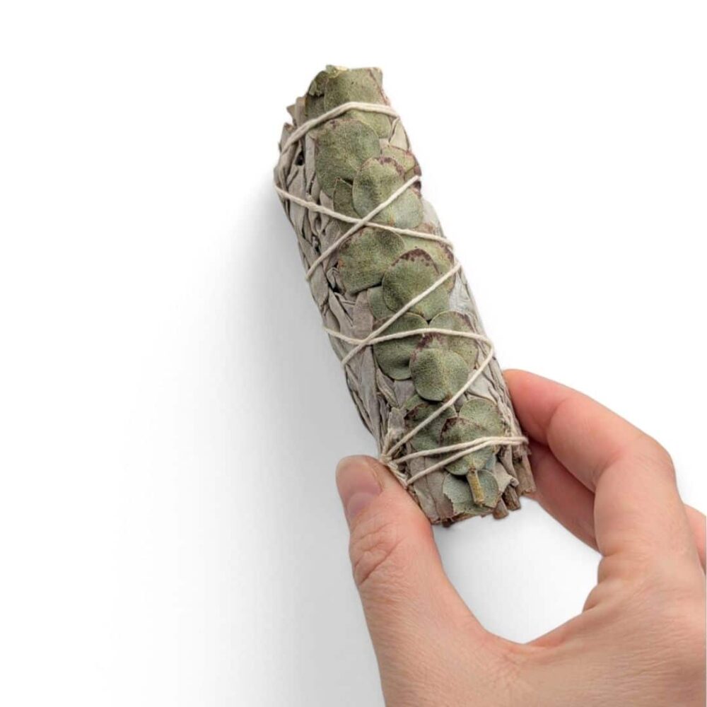 sauge et eucalyptus