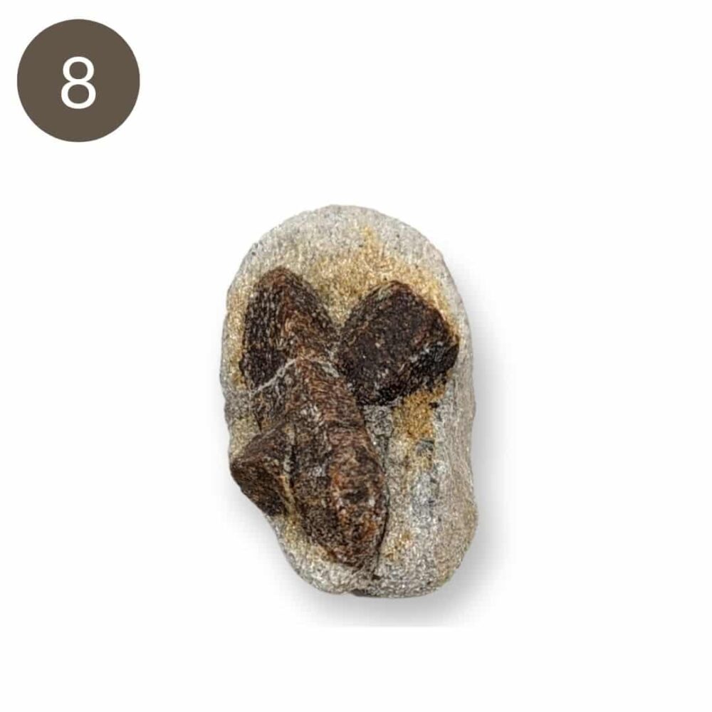 staurolite 8