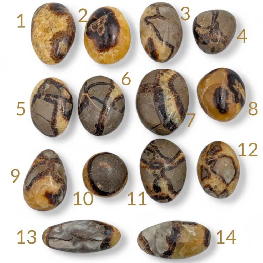 galet septaria (1)