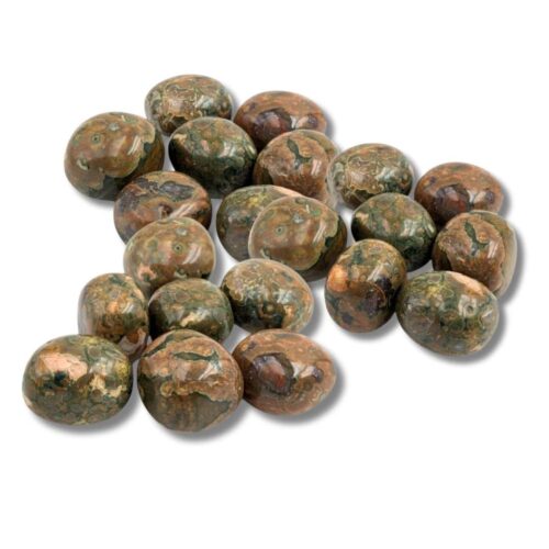 Rhyolite - Jaspe de la forêt tropicale