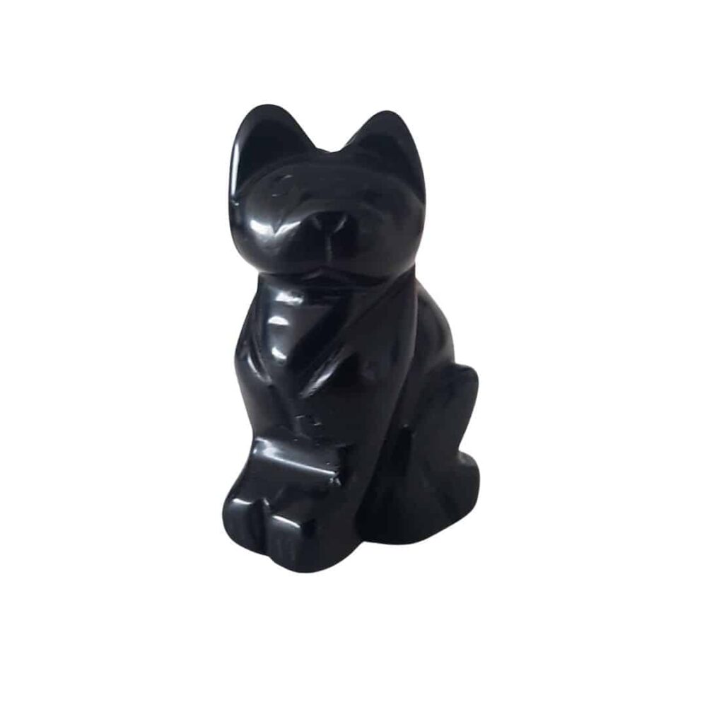 Chat Obsidienne noire