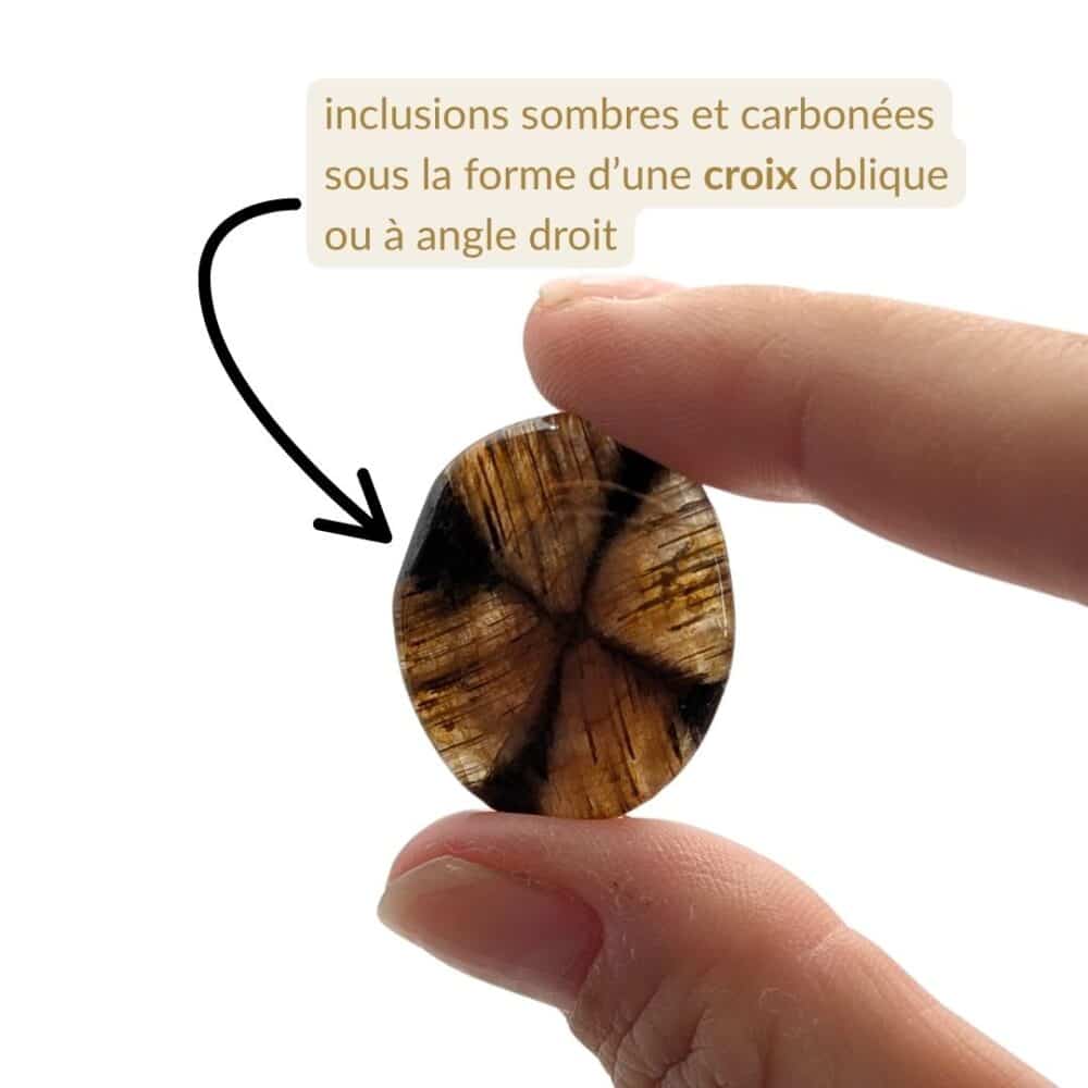 chiastolite