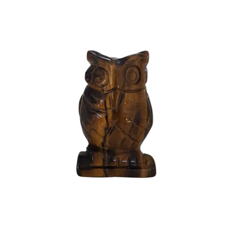Hibou Oeil de Tigre