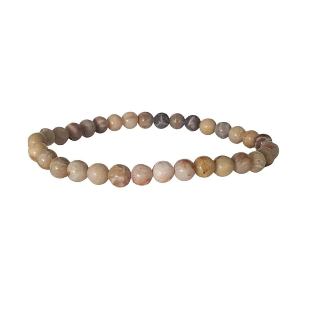 Bracelet Corail Fossilisé 6 mm