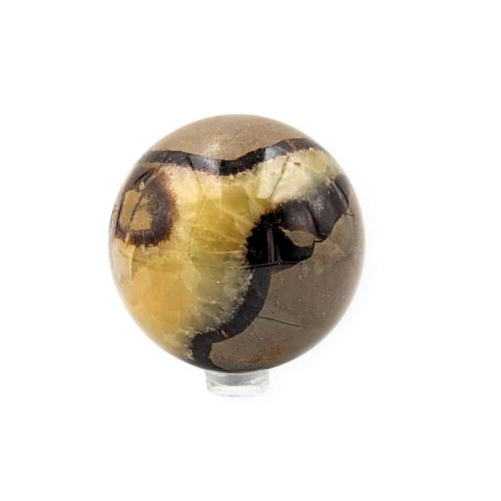 Sphère Septaria | 6cm