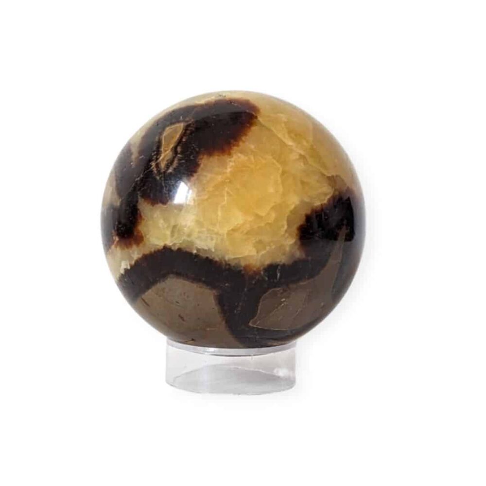Sphère Septaria | 6cm