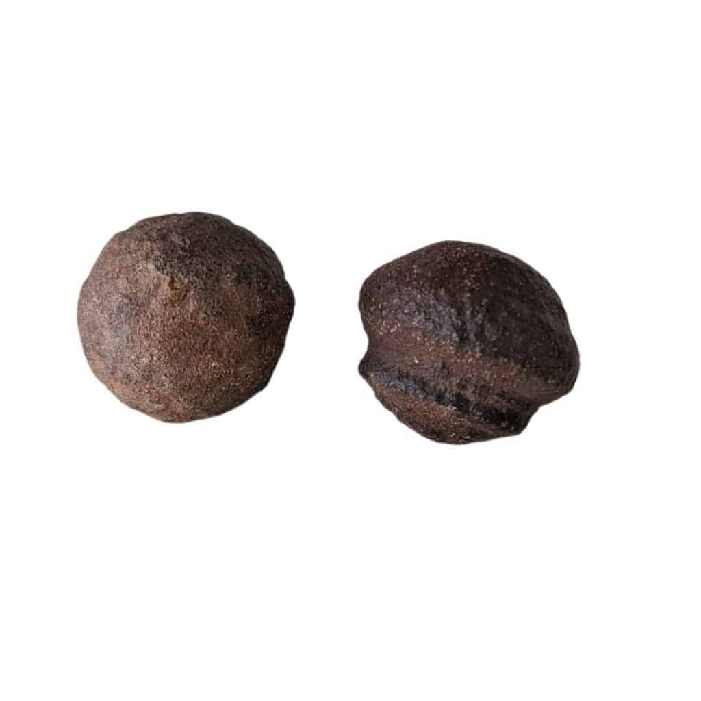 Paire Moqui Marbles