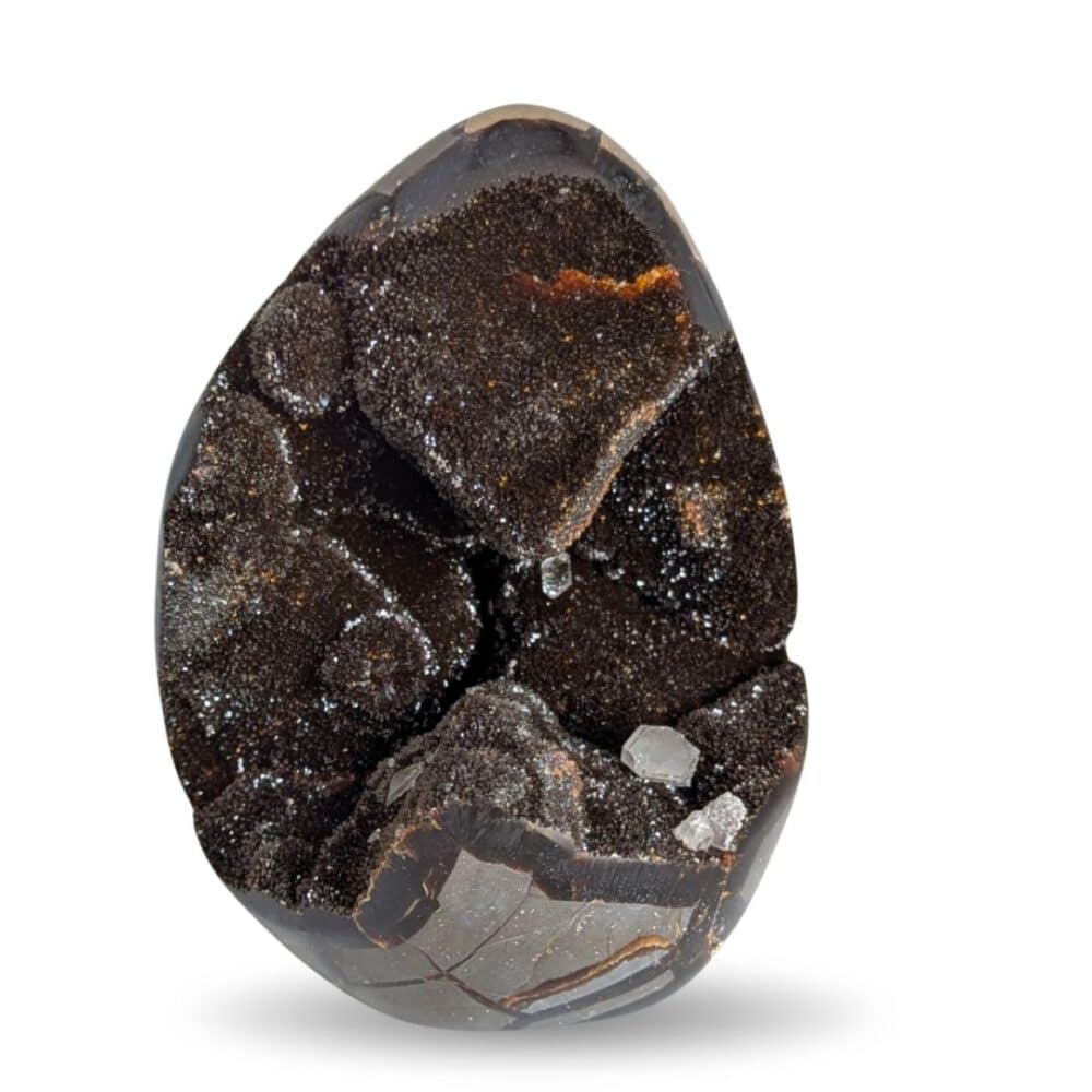 oeuf septaria sauvage