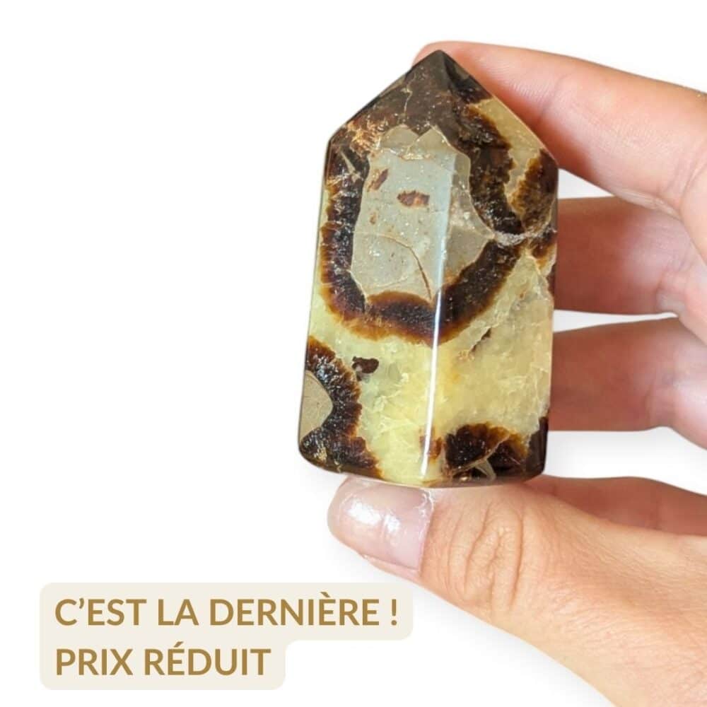 pointe septaria