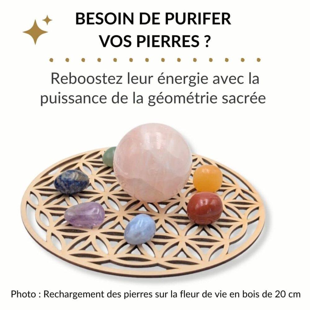 fleur de vie