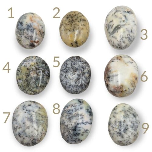 Galet Agate dendritique