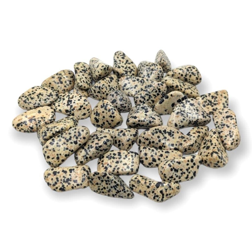 Jaspe Dalmatien