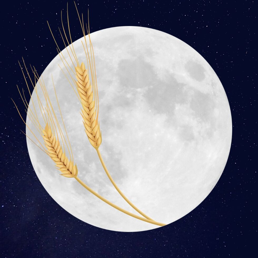Les pleines Lunes de 2023 dates, noms et significations Garaulion