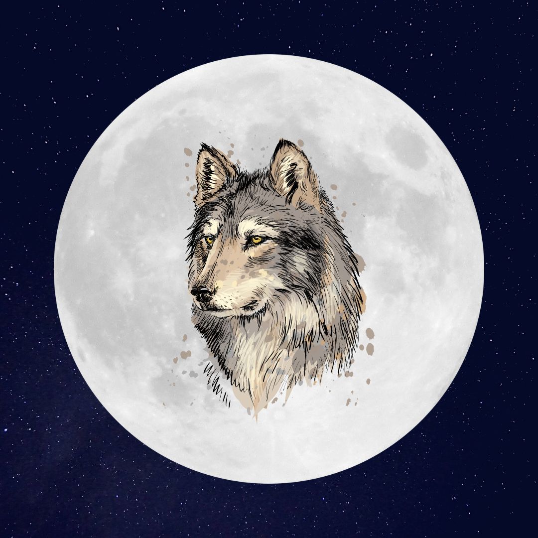 pleine lune du loup