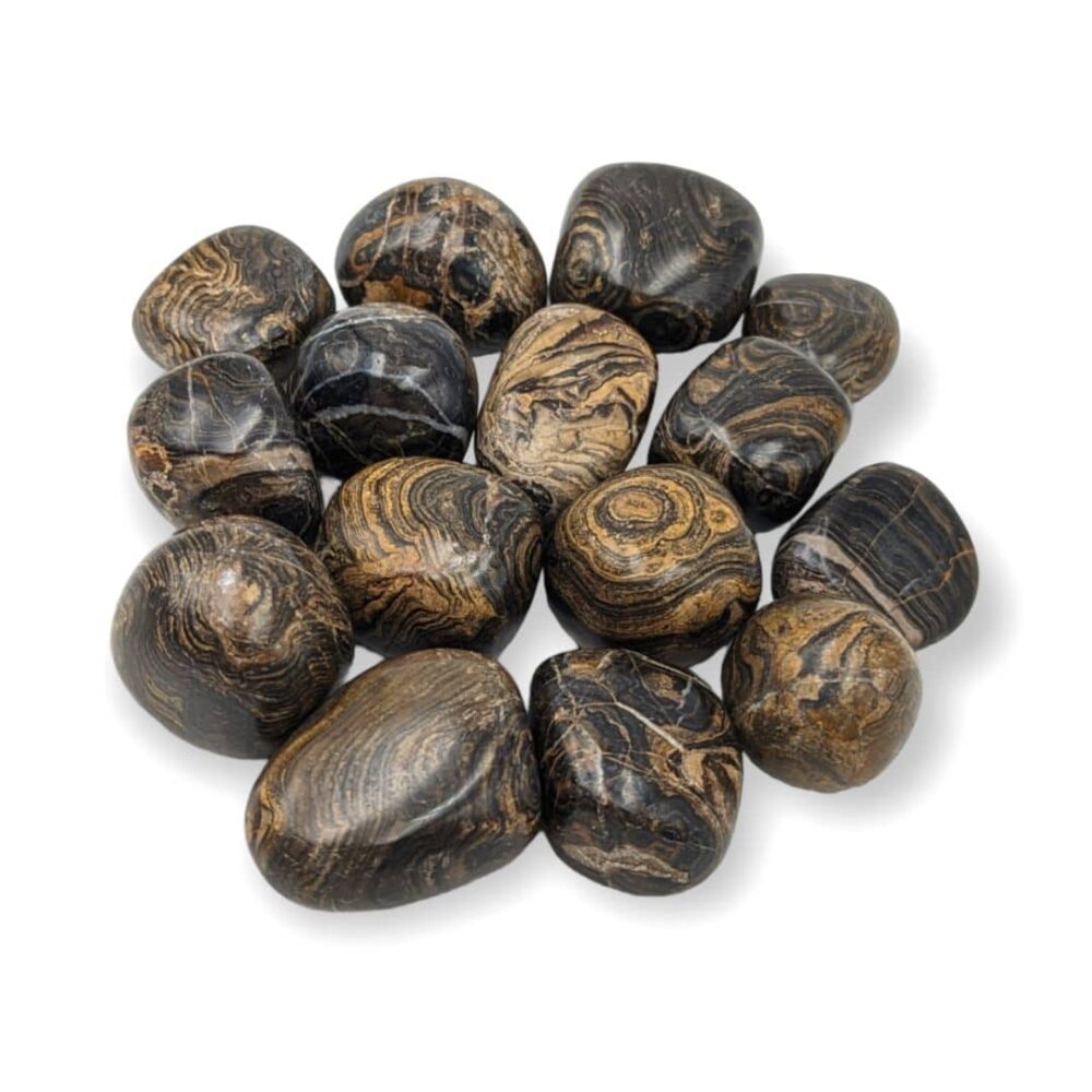stromatolite