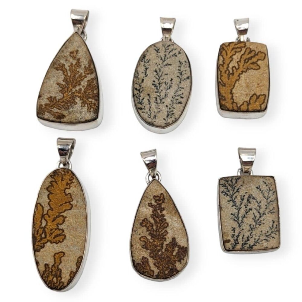 Pendentif argent Jaspe plante Fossile