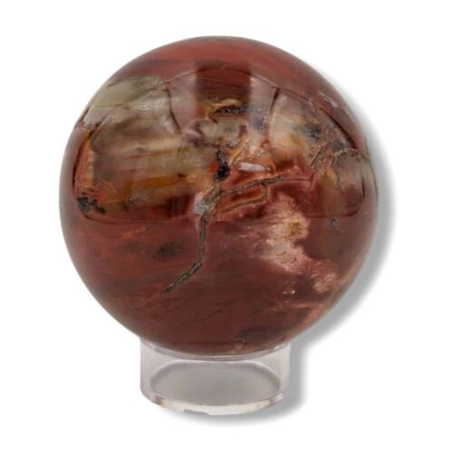 Sphère bois fossile | 6.5cm