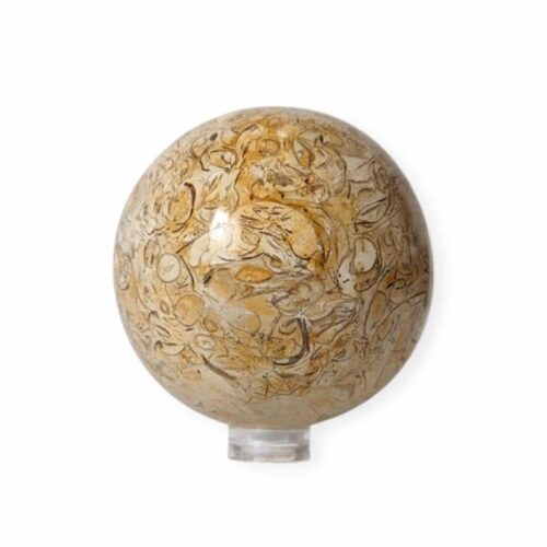 Sphère Jaspe Ecaille | 6cm