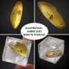 ambre avec insecte