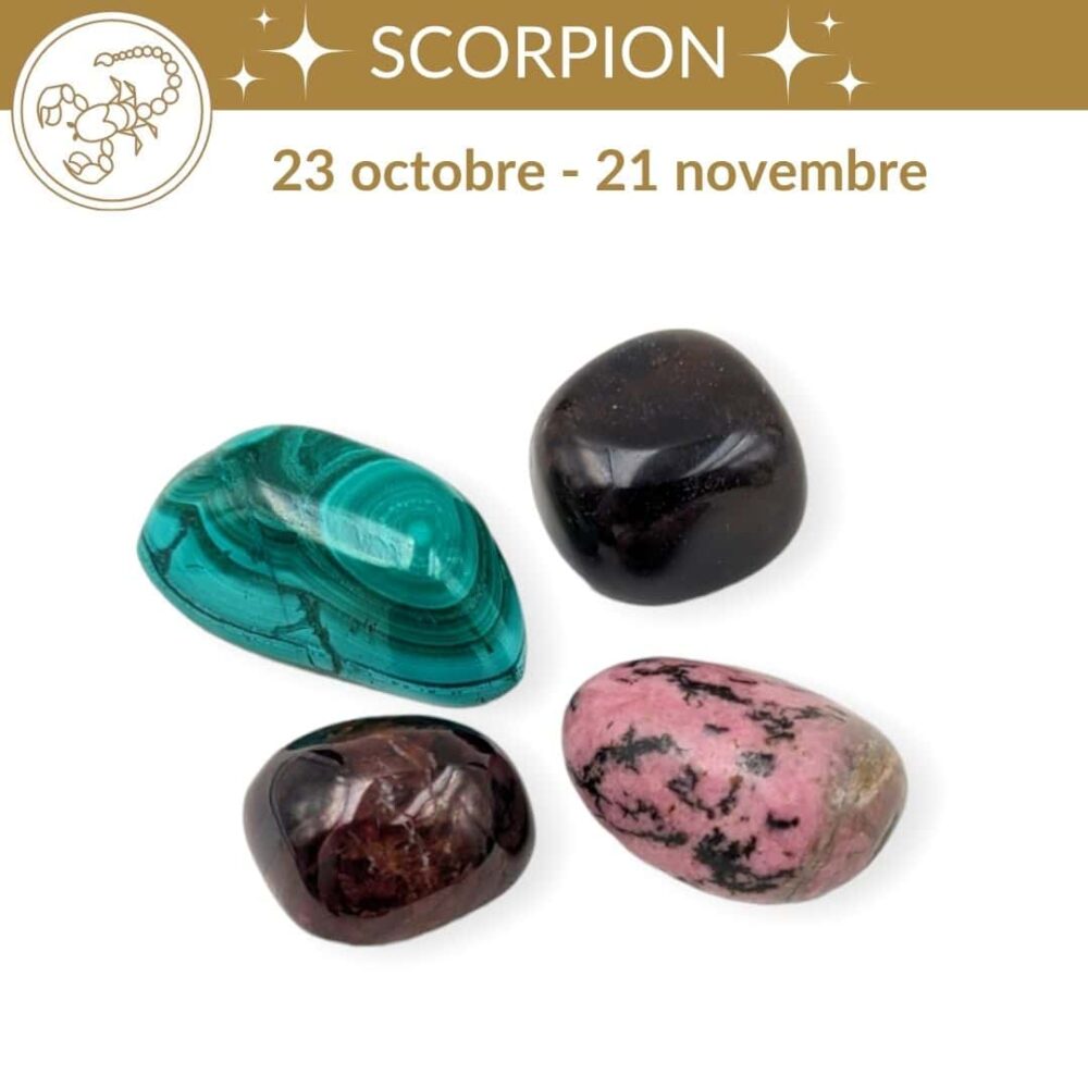Scorpion