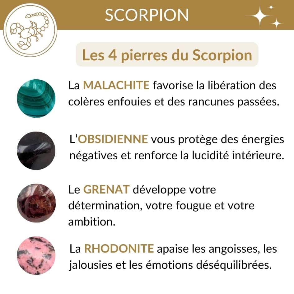 quelle pierre pour le signe scorpion obsidienne rhodonite grenat malachite lithotherapie scorpion transformation protection