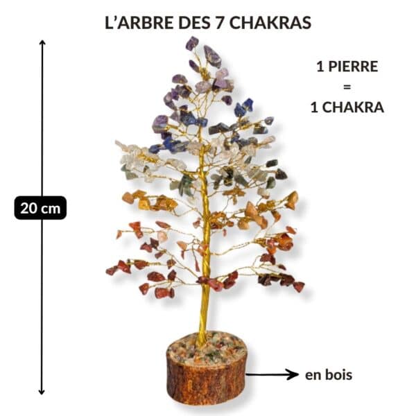 arbre 7 chakras