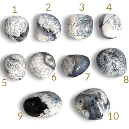 Galet opale Dendrite