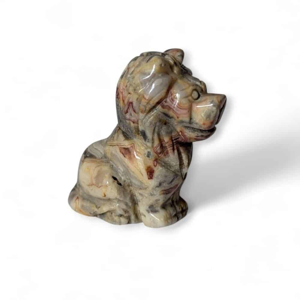 Lion Agate Crazy Lace