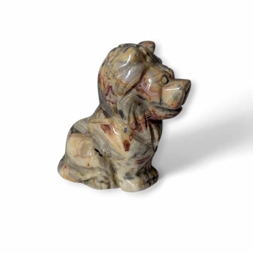 Lion Agate Crazy Lace