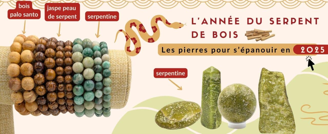 Pièce de Serpent Chinois,Pièce de Serpent Nouvel An Chinois La pièce | Pièce de monnaie en Relief 3D de l'année 2025, pièce commémorative, médailles chinoises pour Collectio