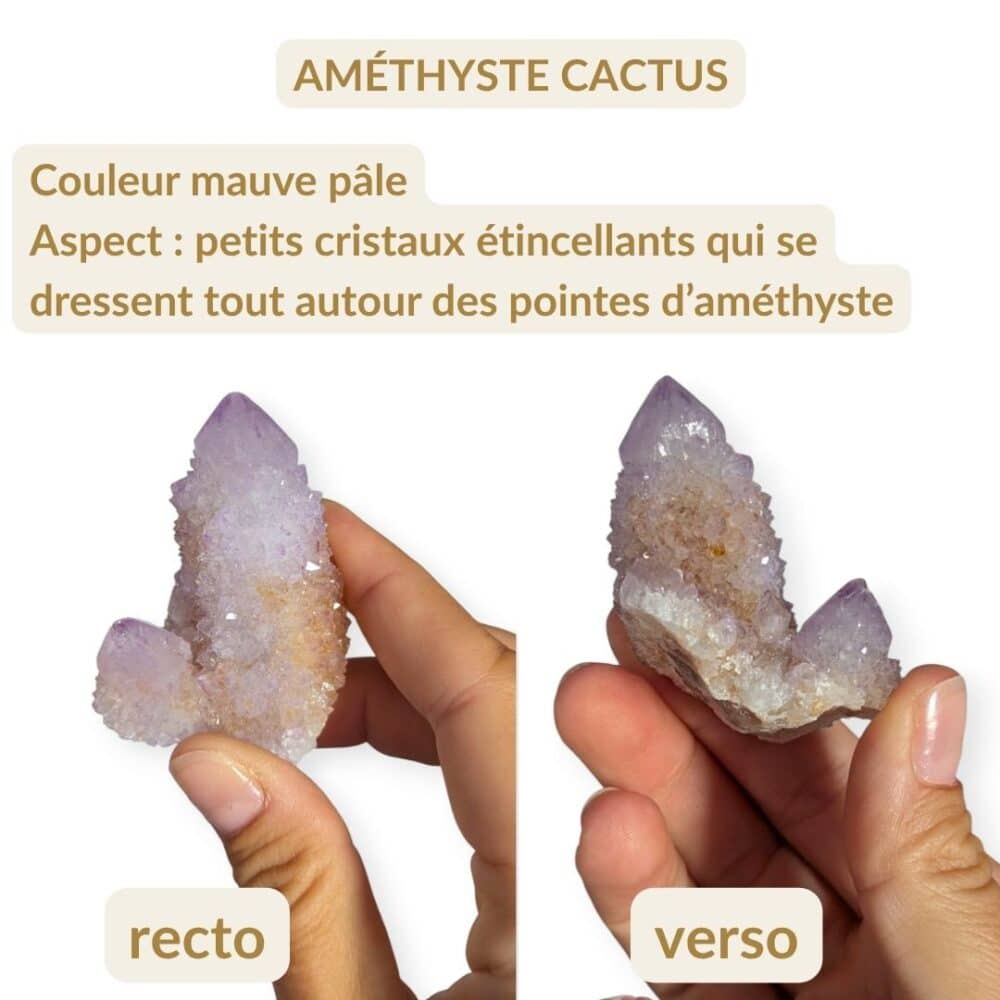 lot qui brille (2)