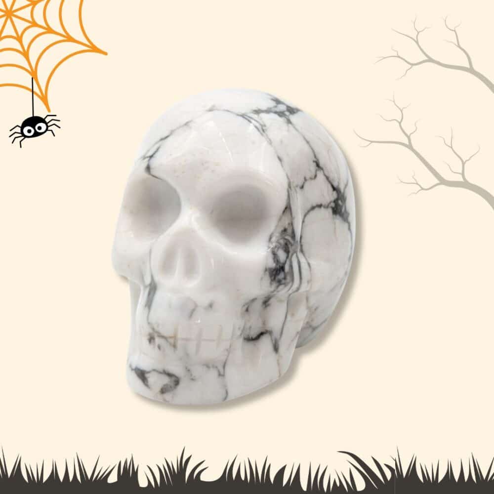 crâne howlite