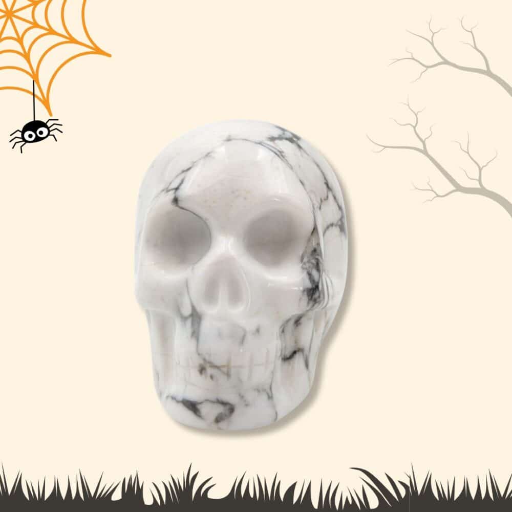 crâne howlite