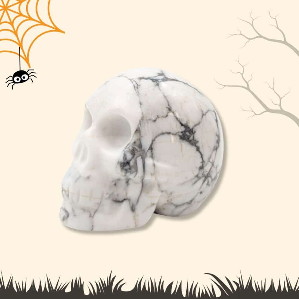 crâne howlite