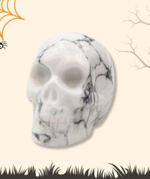 crâne howlite