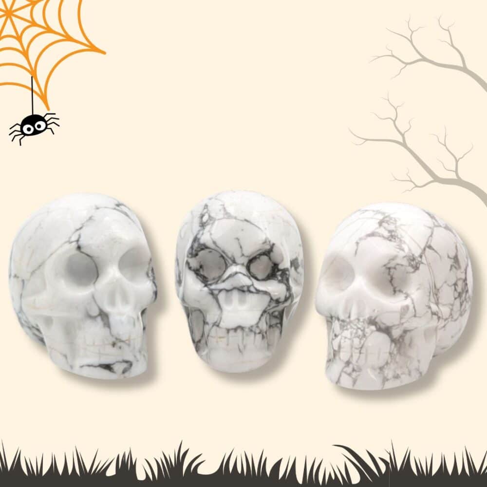 crâne howlite