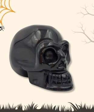 crane obsidienne