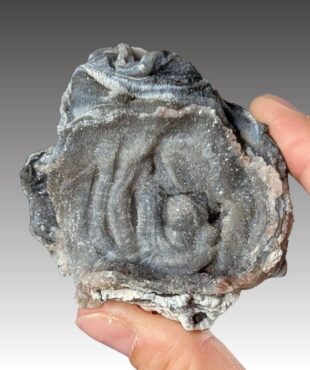 calcédoine cristallisée