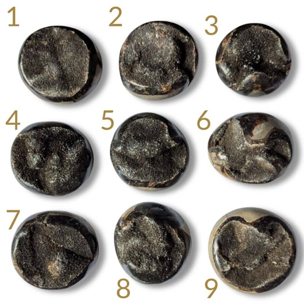 galet septaria sauvage