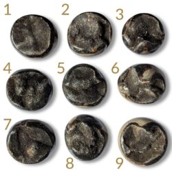 galet septaria sauvage