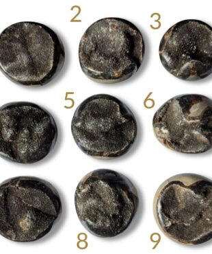 galet septaria sauvage