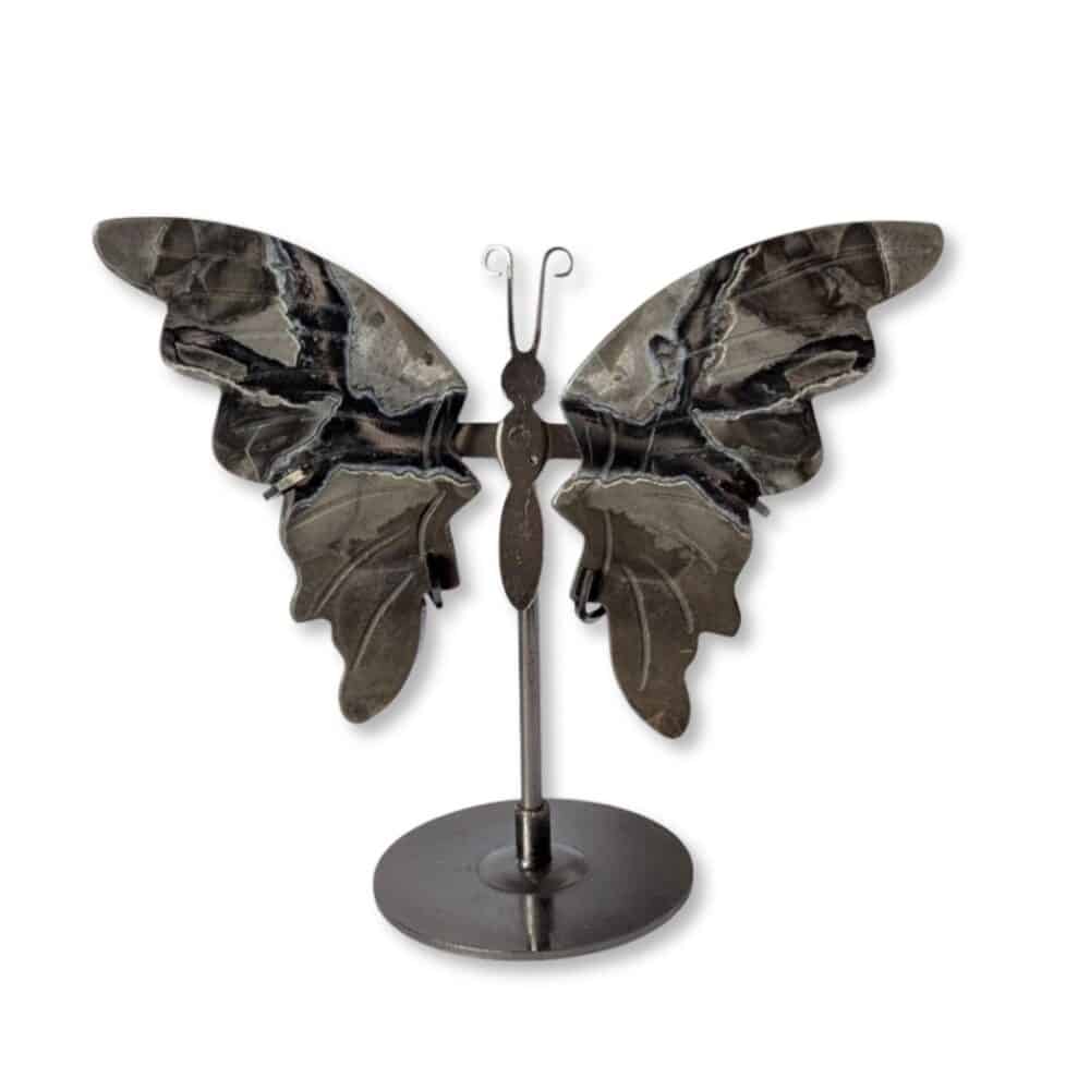 papillon agate grise