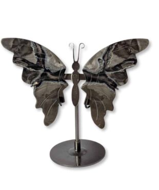 papillon agate grise