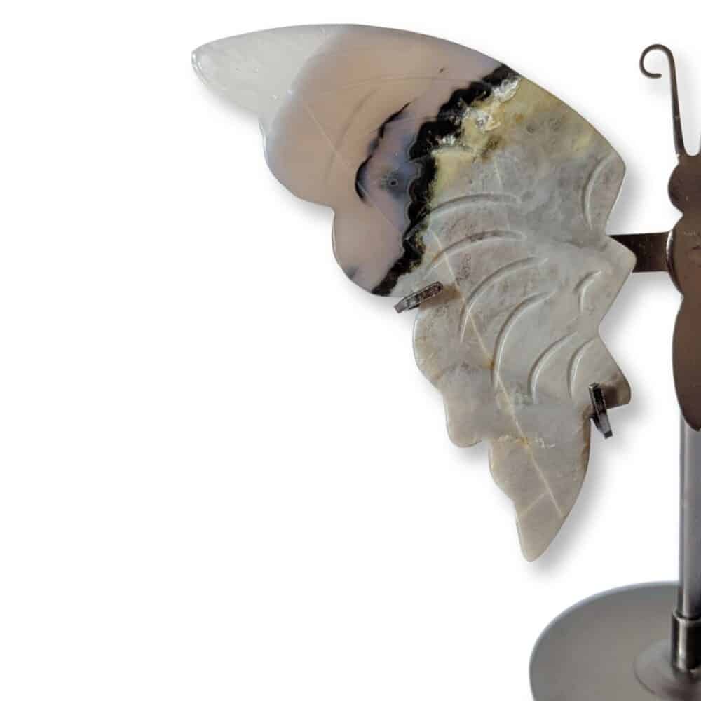 papillon agate