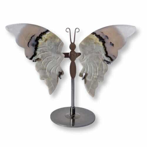 papillon agate
