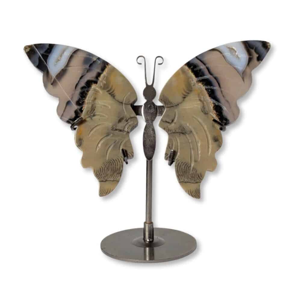 papillon agate cristallisé