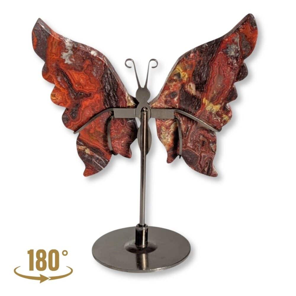 Gros plan sur les dessins de l'aile gauche du papillon en agate Crazy Lace