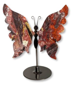 Papillon en agate mousse vu de biais, montrant le relief de ses ailes