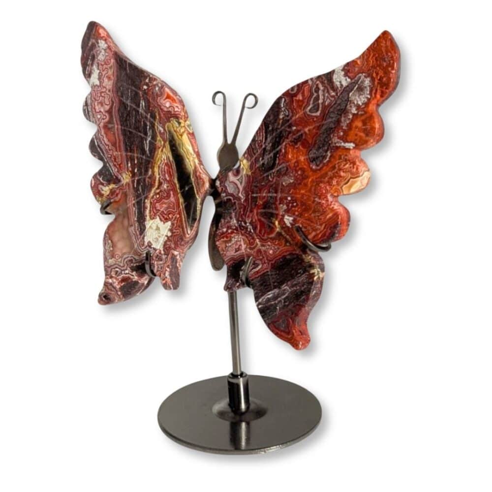 Papillon sculpté en agate Crazy Lace photographié de trois quarts
